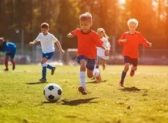 大乐透期号,专家质合分,析推荐,PG电子官网,PG电子试玩,PG电子模拟器,PG电子平台,PG电子下载